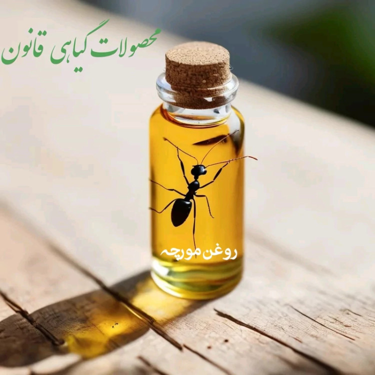 روغن مورچه قانون - حجم 450 میلی لیتر