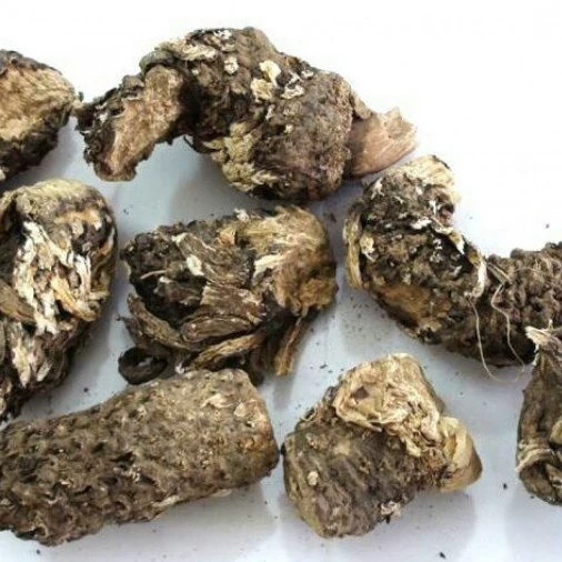 روغن کندش قانون